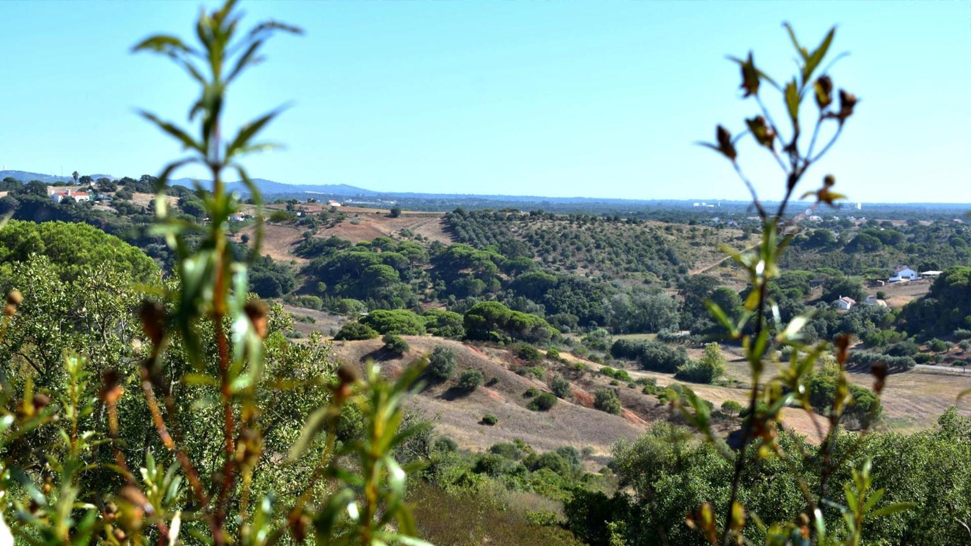 منزل الضيف Santiago do Cacém  في Monte Sardinha المظهر الخارجي الصورة
